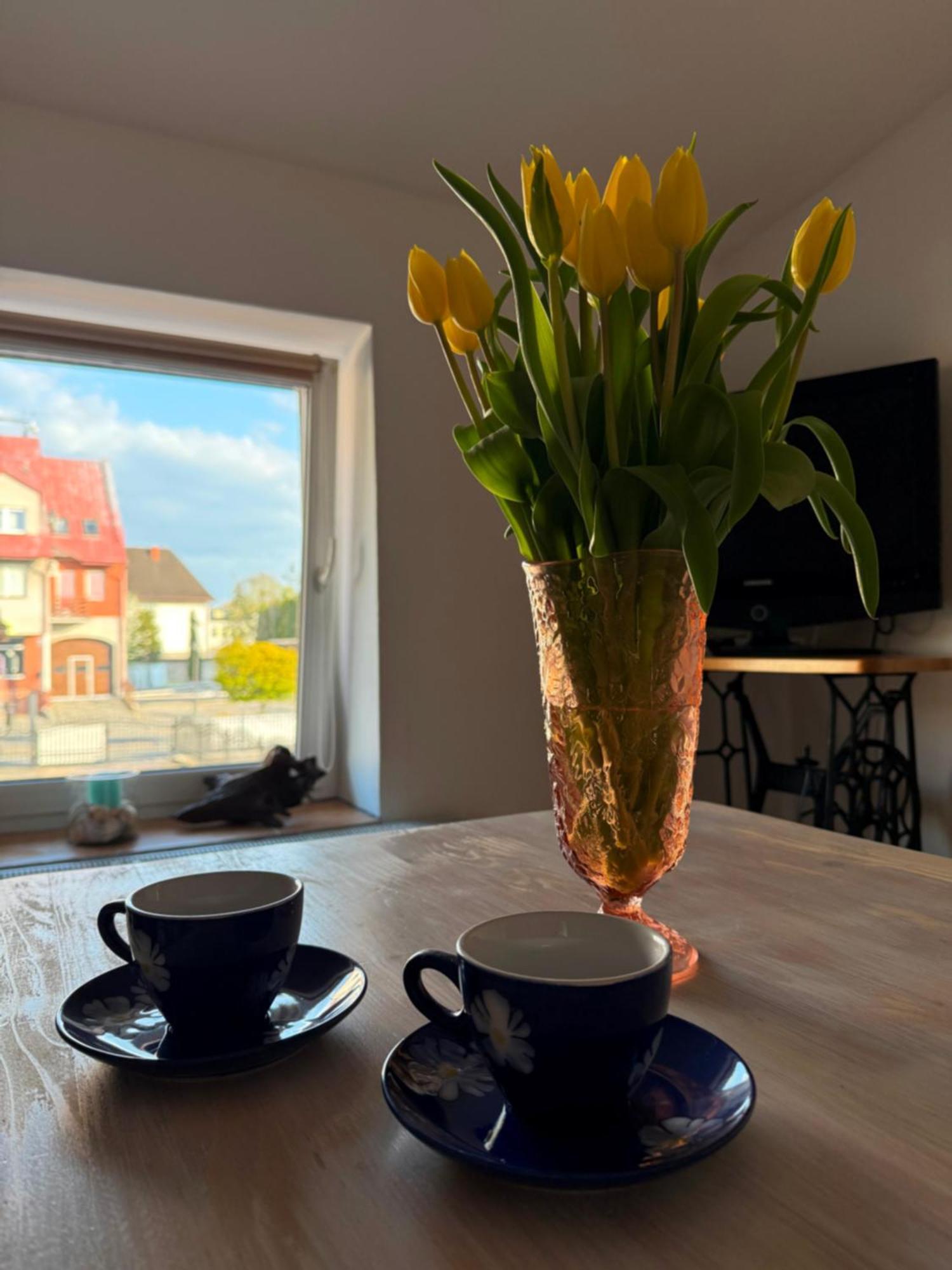 Studio Dwupokojowe Z Lazienka I Kuchnia Augustow Luaran gambar